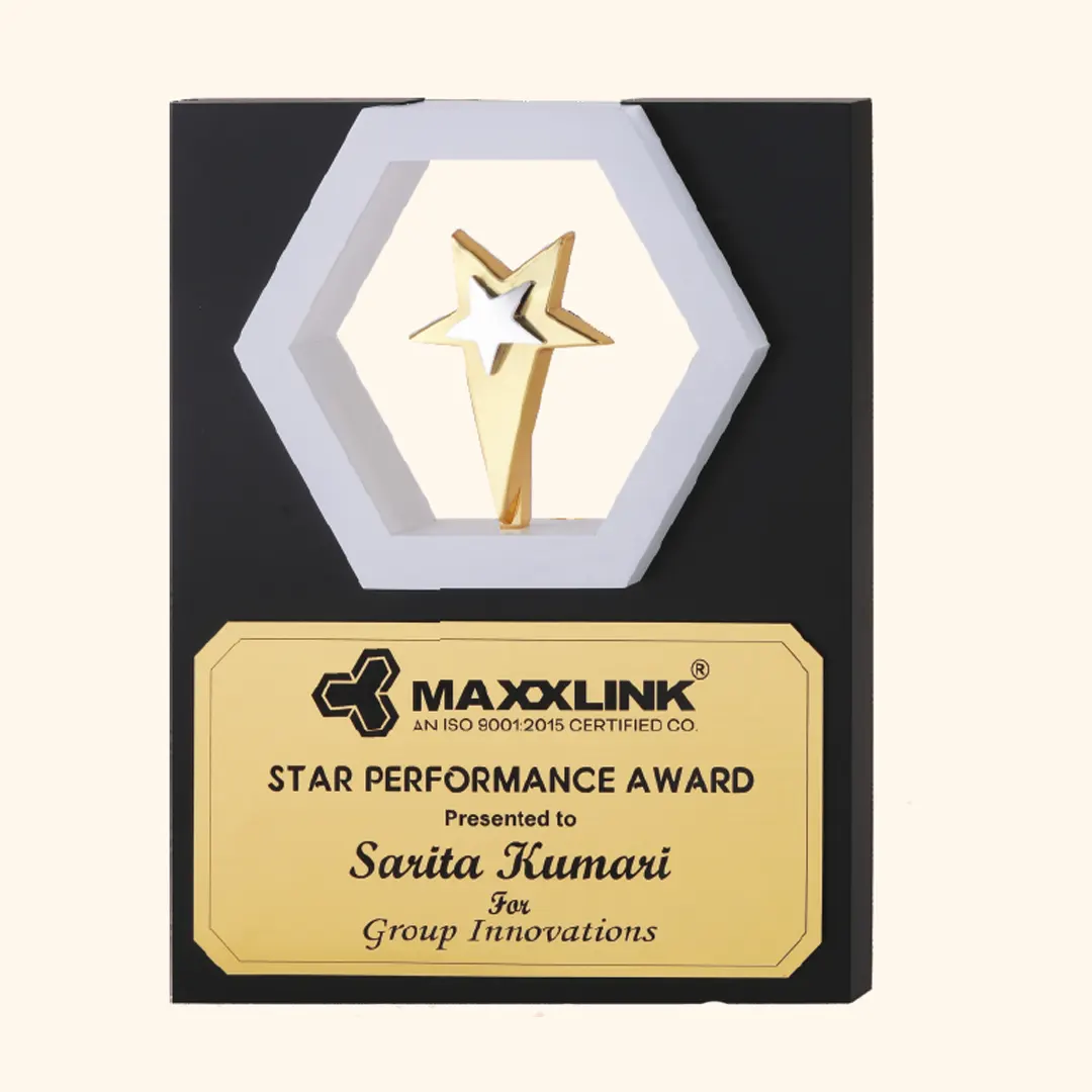 MAXXLINK- PI 25-2043 (10" × 10")
